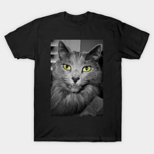 Stunning Green Eyed Cat T-Shirt